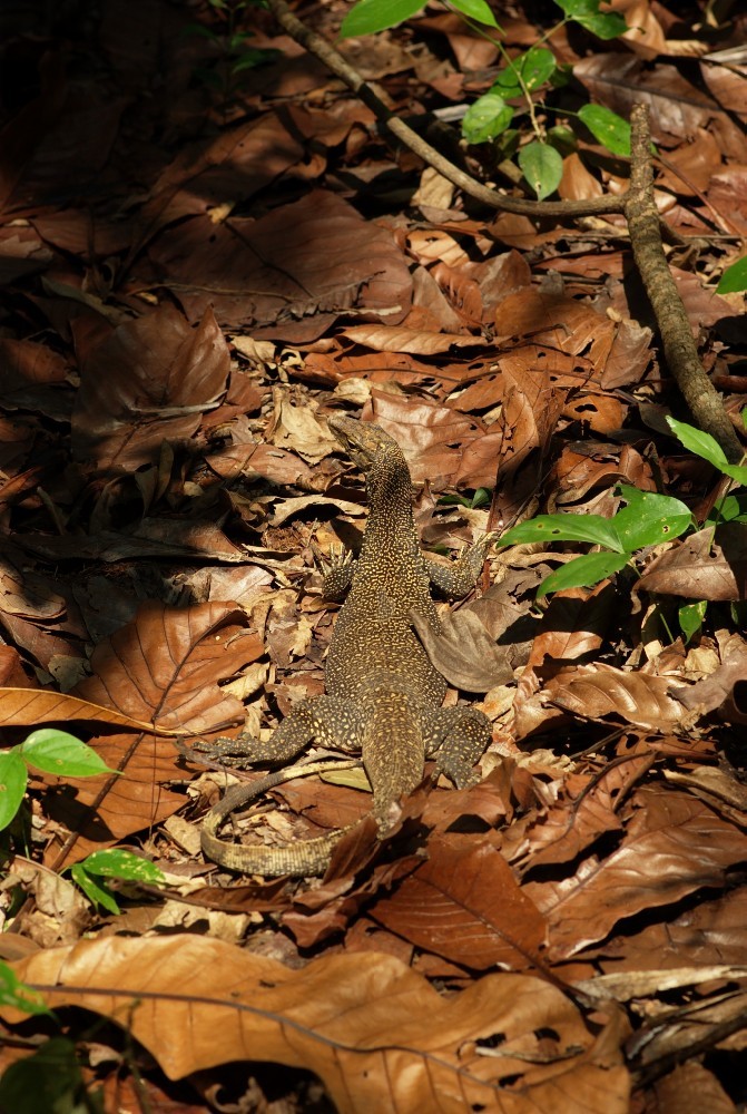 Singapore-09.jpg