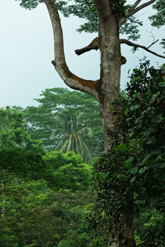 Singapore-10.jpg
