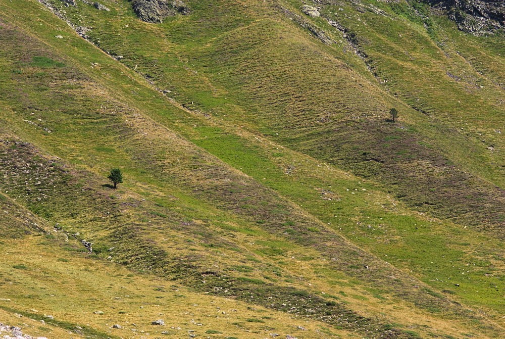 Pyrenees-03.jpg