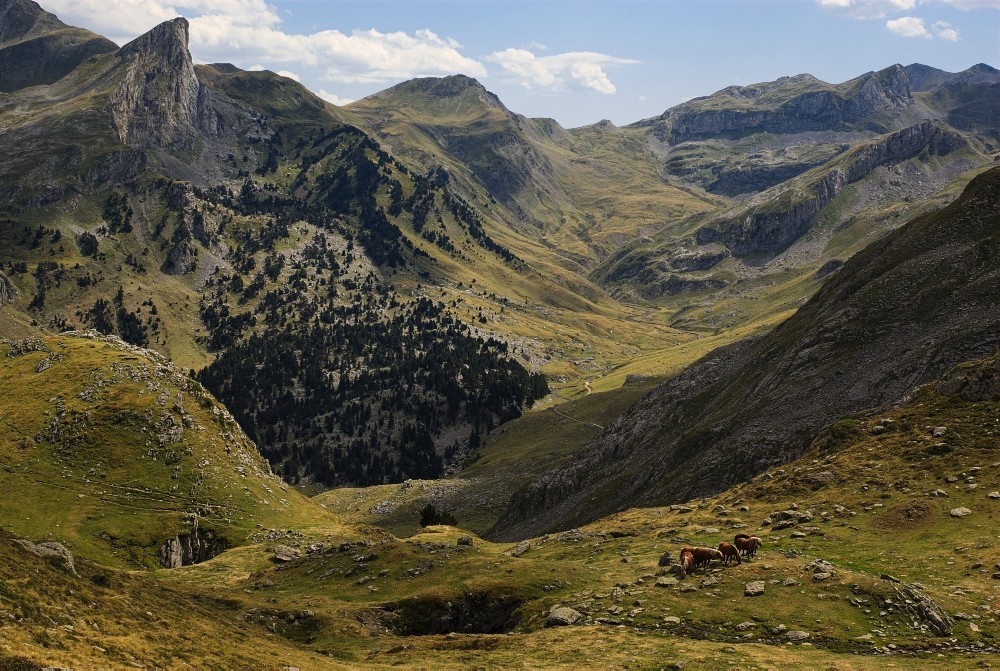 Pyrenees-04.jpg