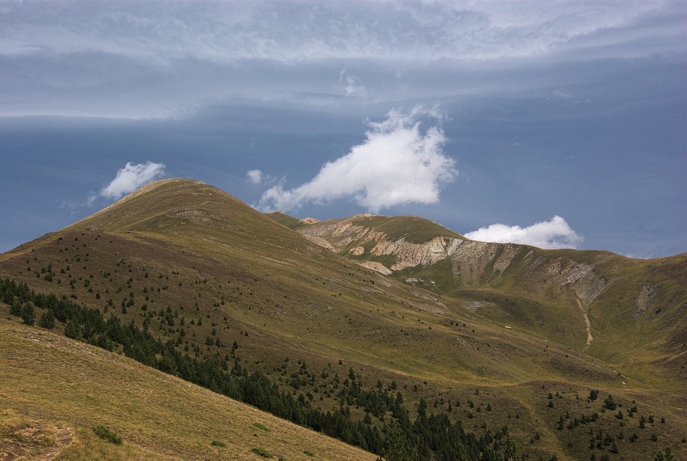 Pyrenees-15.jpg