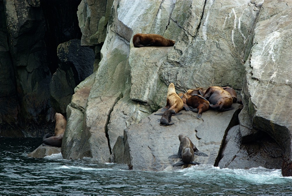 Alaska-22.jpg