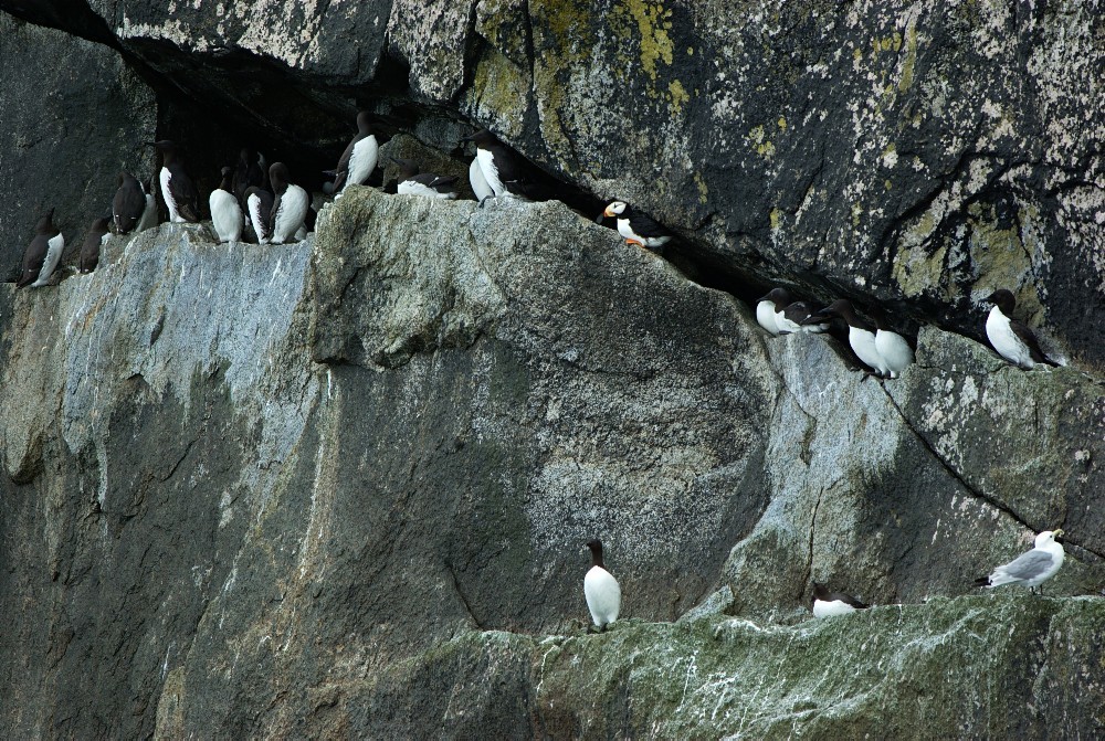 Alaska-25.jpg