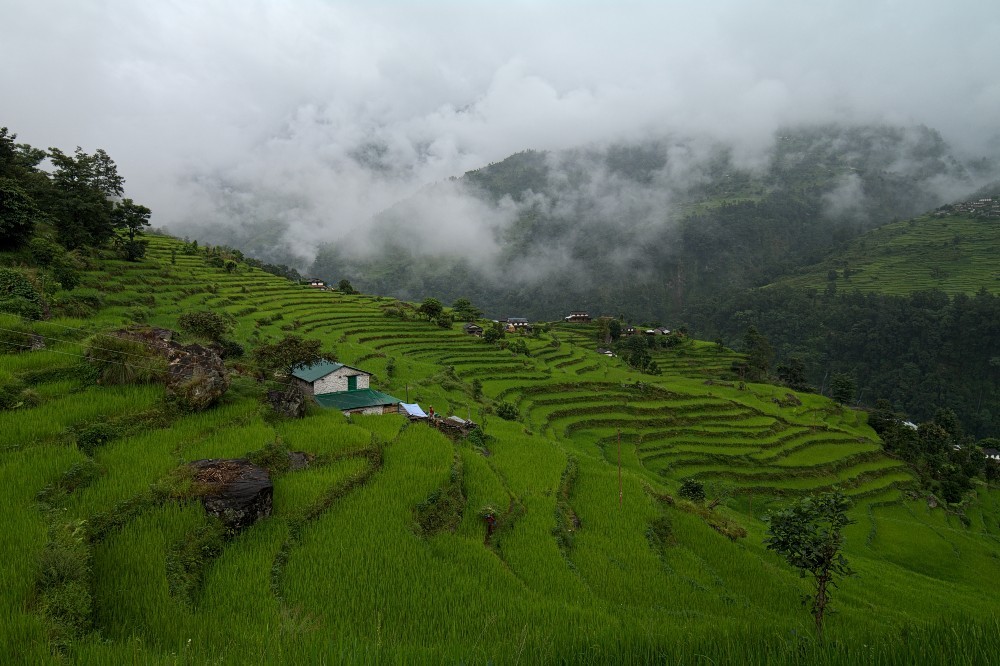 Nepal
