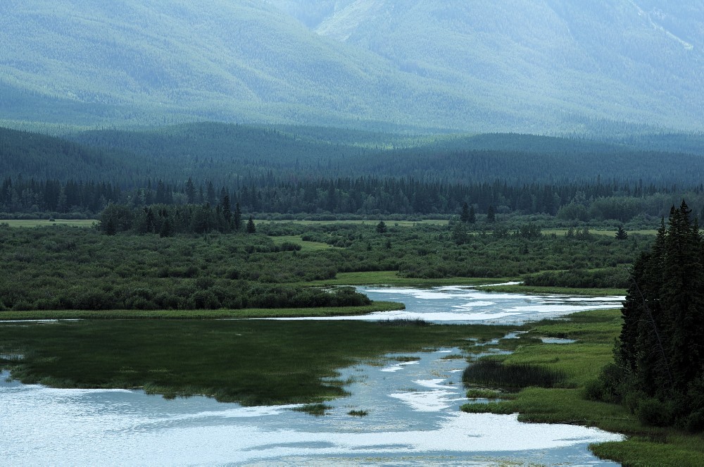 Canada-07.jpg