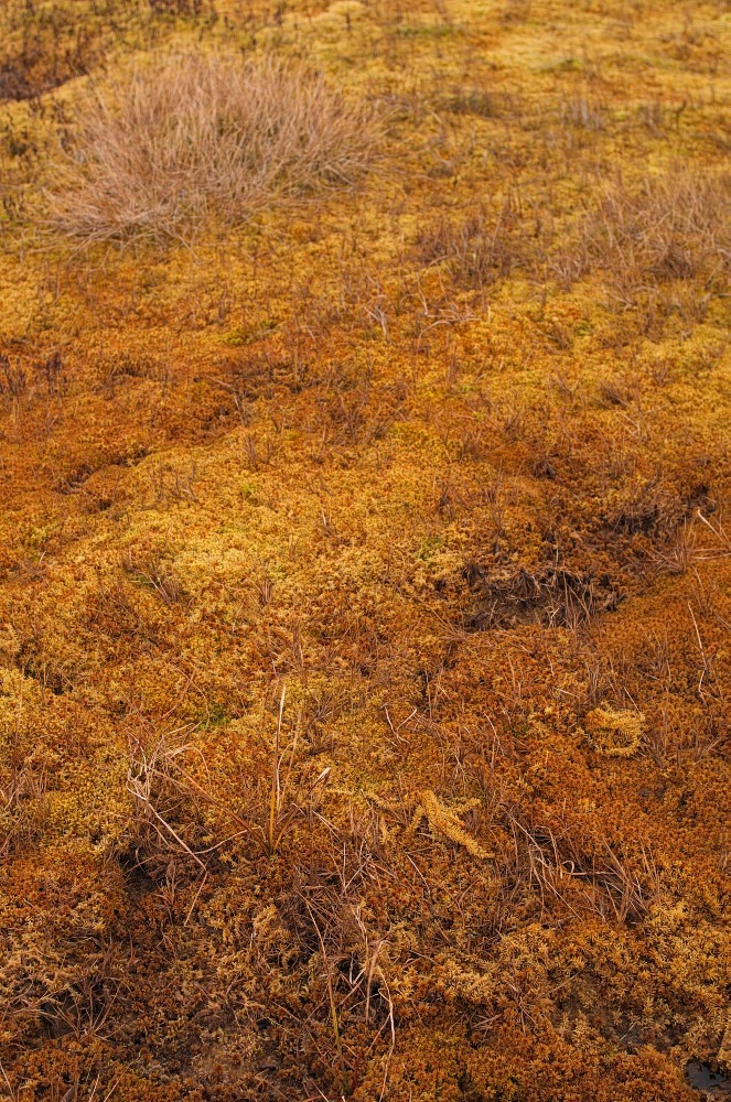Sverige-40.jpg