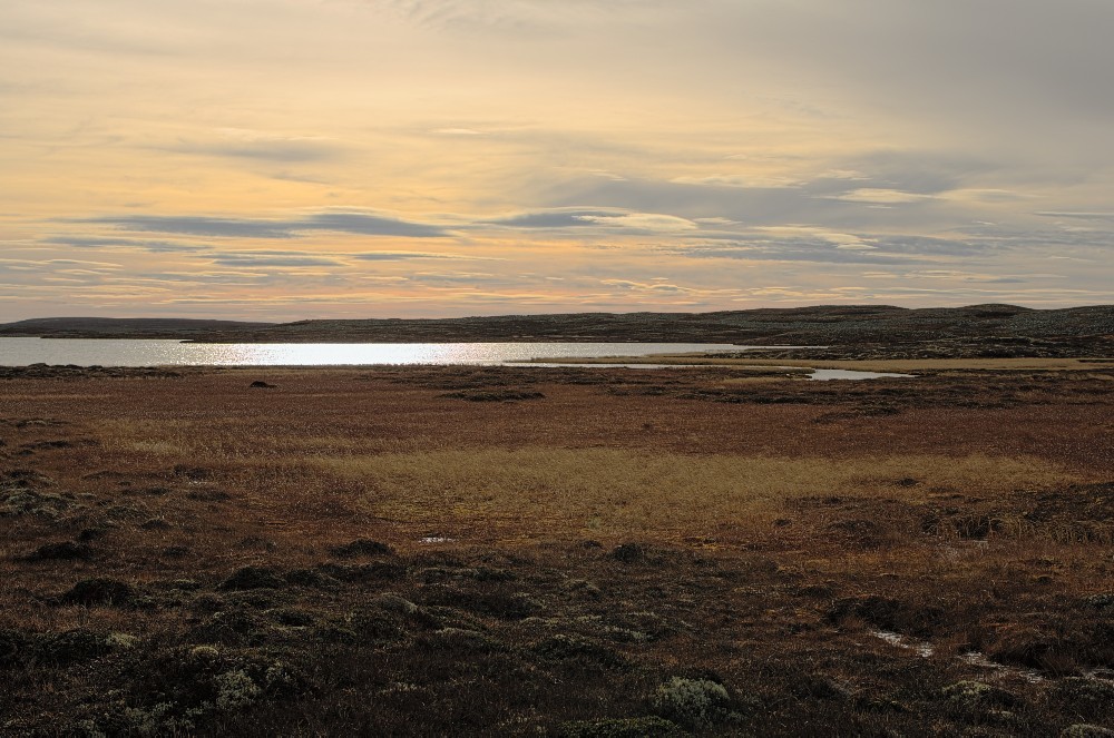 Sverige-45.jpg