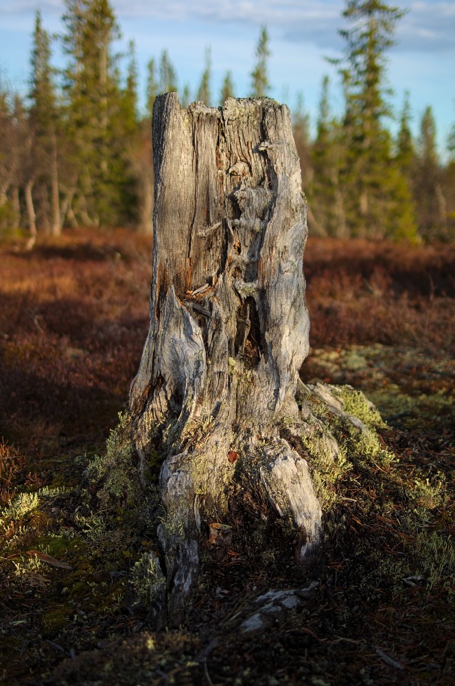 Sverige-47.jpg