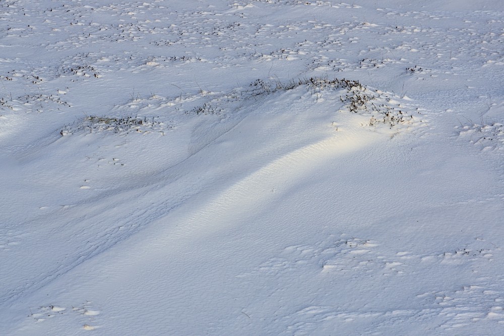 Iceland-06m.jpg