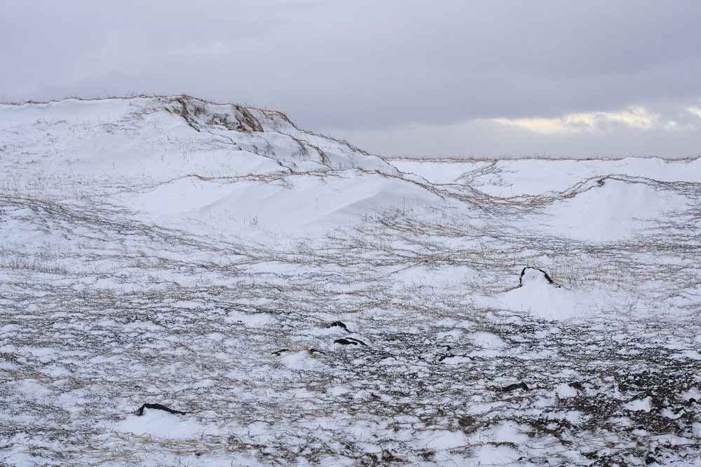 Iceland-18.jpg