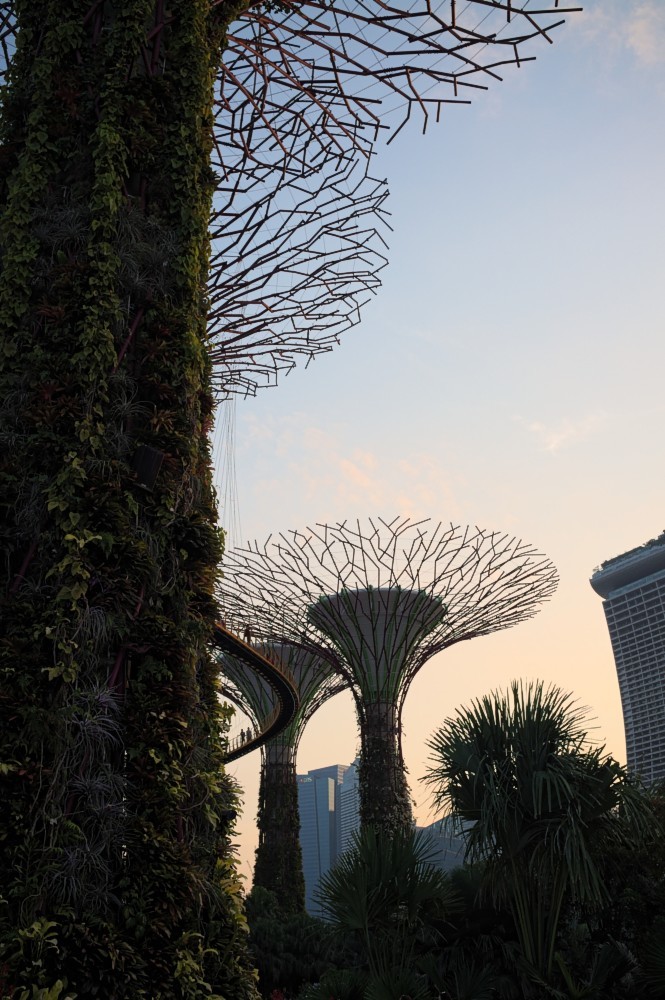 Singapore-33.jpg