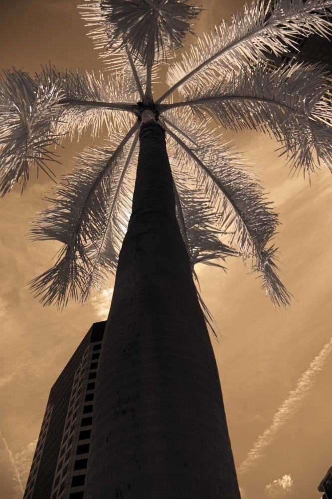 Singapore-46.jpg