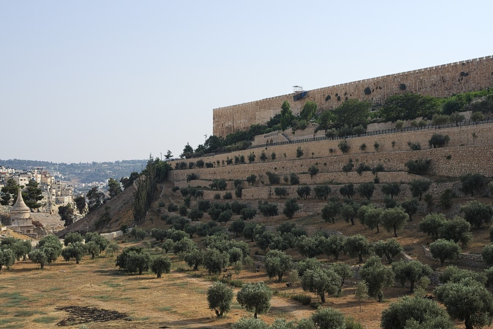 Israel