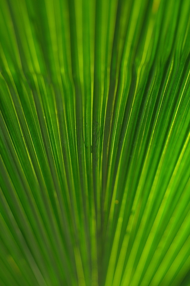 Singapore-53.jpg