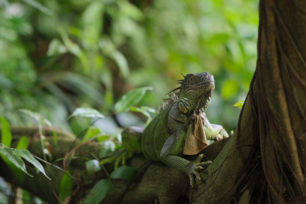 Singapore-54.jpg