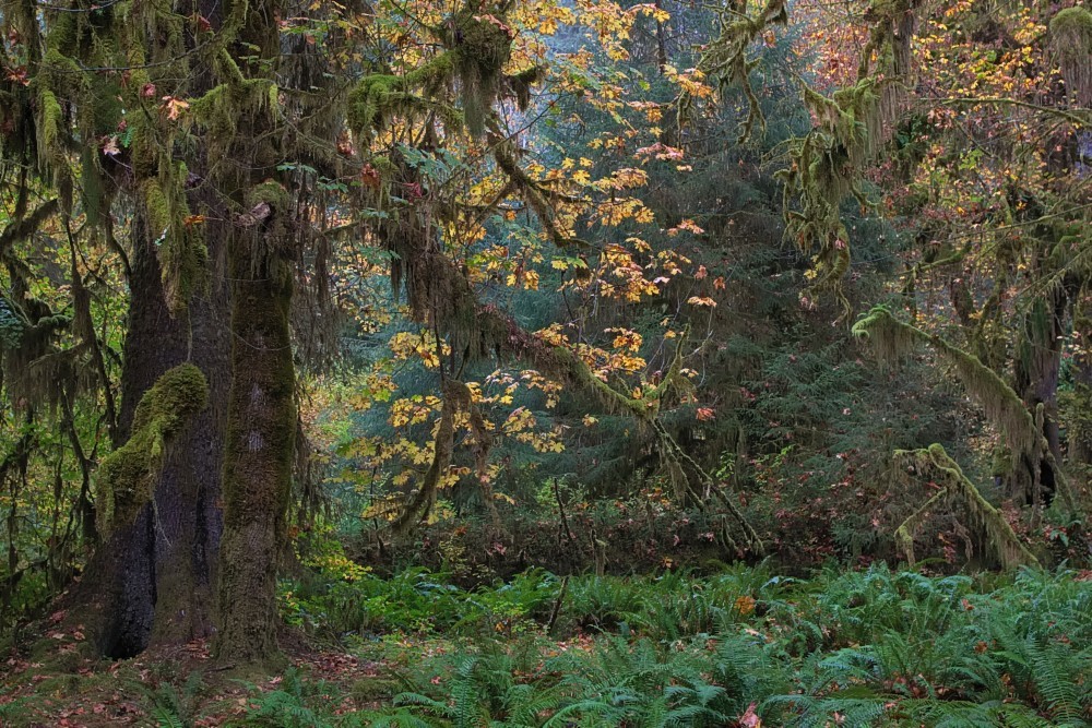 USwest-90.jpg