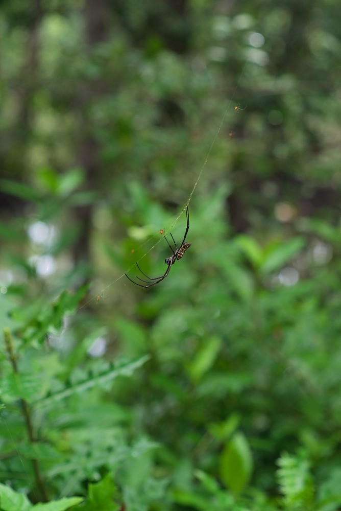 Singapore-81.jpg