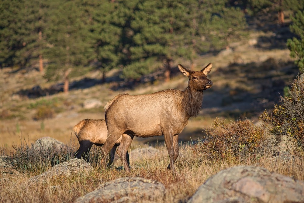 Colorado-27.jpg