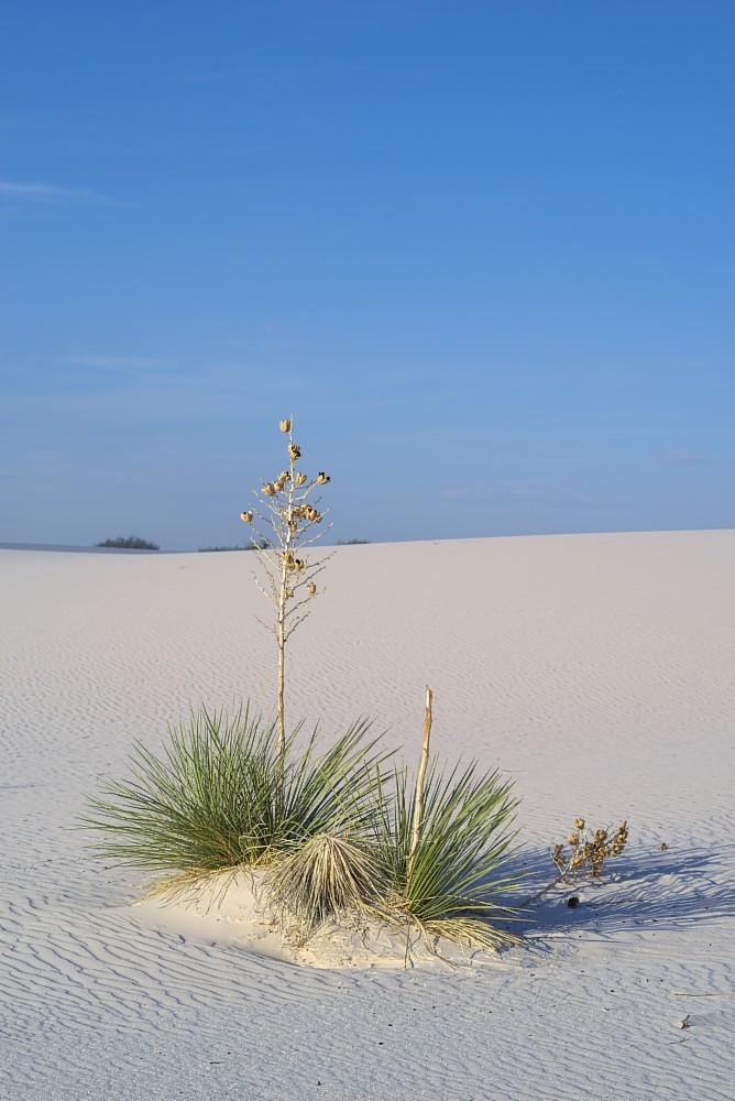New-Mexico-07.jpg