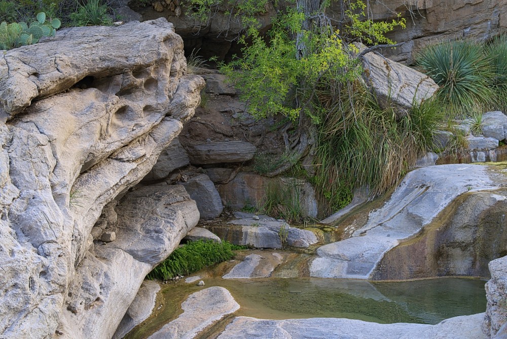 New-Mexico-26.jpg