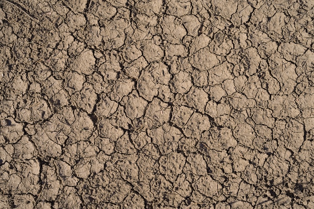 New-Mexico-40.jpg
