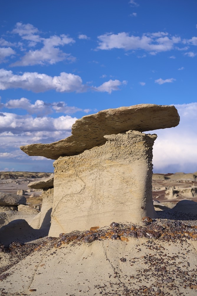 New-Mexico-50.jpg