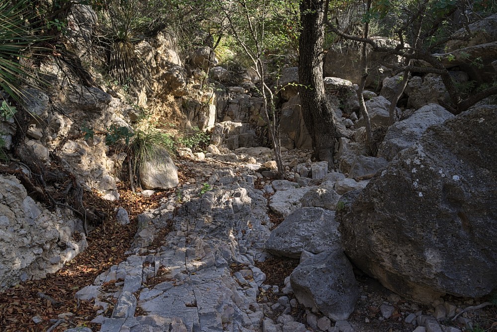 Texas-03.jpg