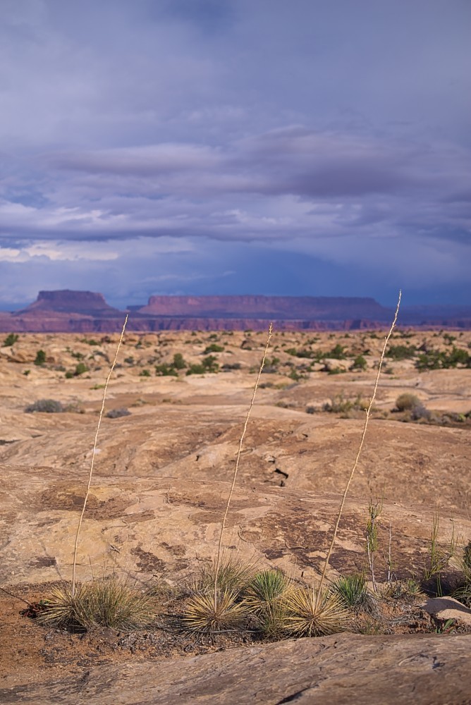 Utah-30.jpg