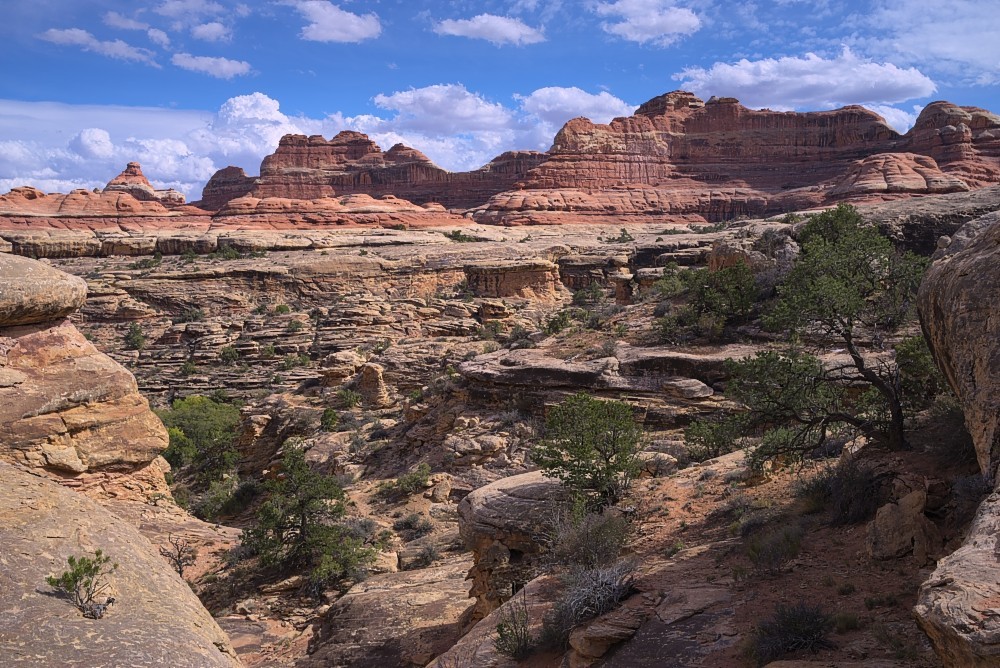 Utah-37.jpg