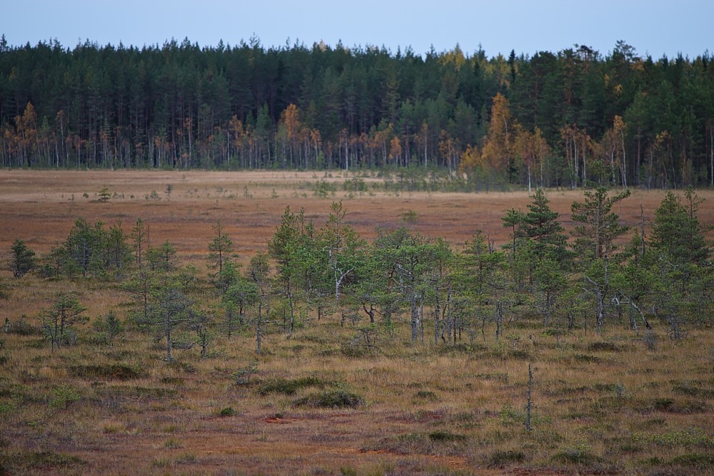 Finland-04.jpg