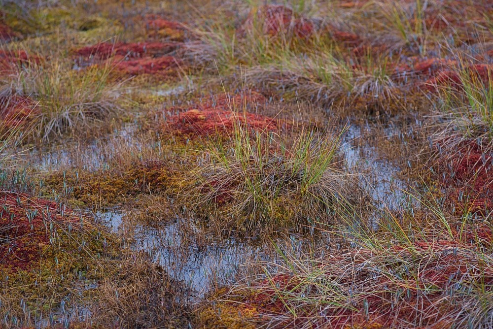Finland-06.jpg