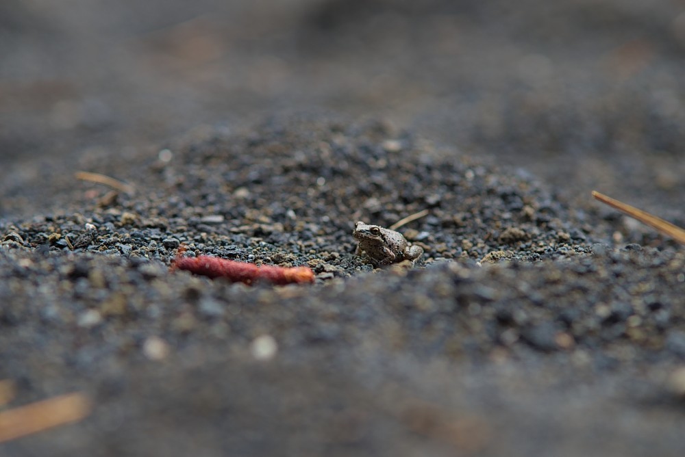 California-25.jpg
