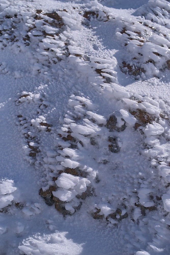 California-35.jpg
