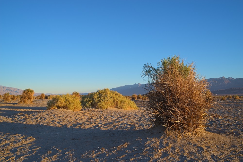 California-64.jpg