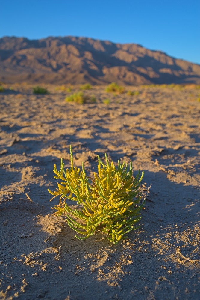 California-65.jpg