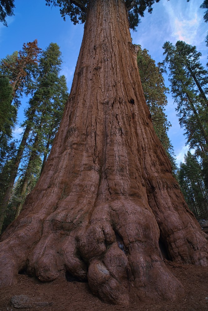 California-67.jpg