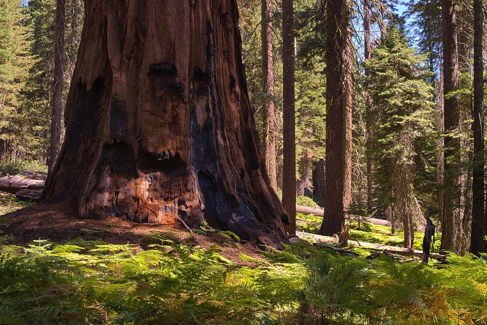 California-68.jpg