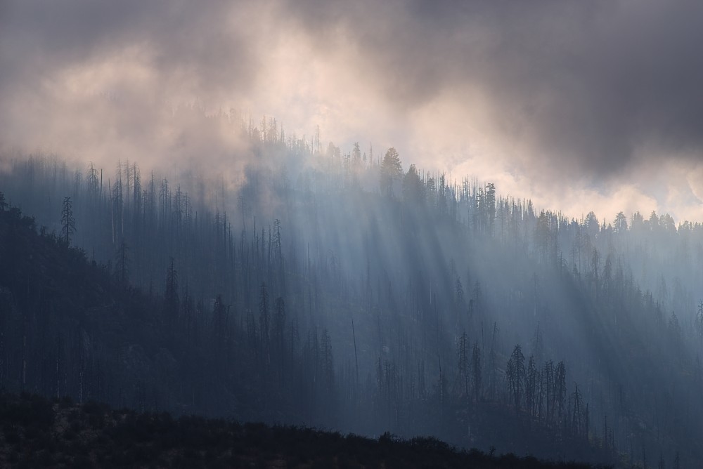 California-76.jpg