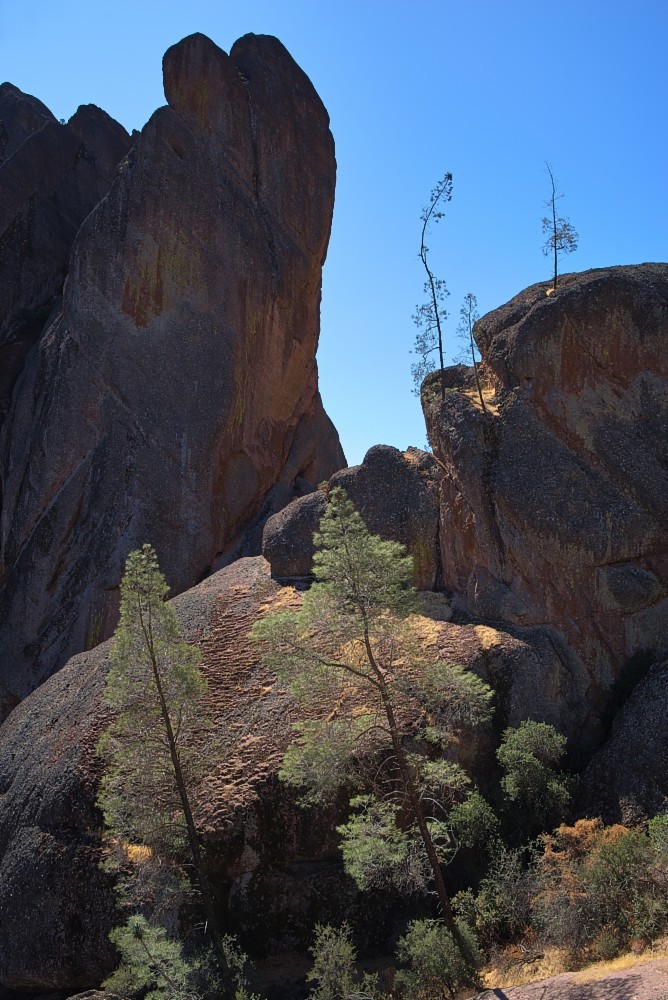 California-86.jpg