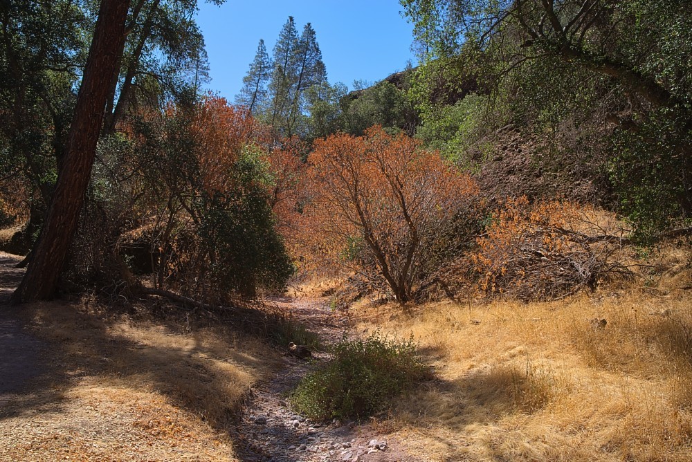 California-87.jpg